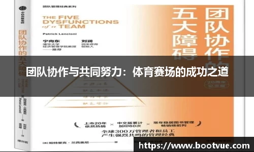 团队协作与共同努力：体育赛场的成功之道